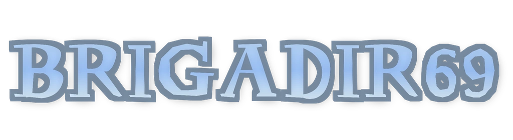 BRIGADIR69